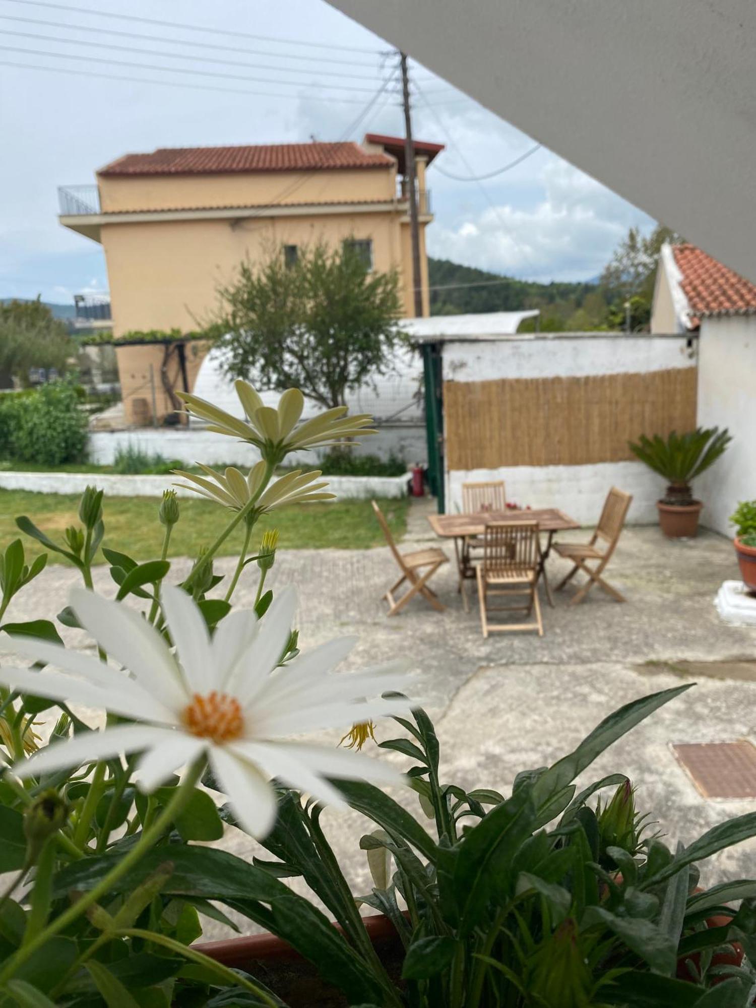 Apartment Navy With Mountain View &private Parking *